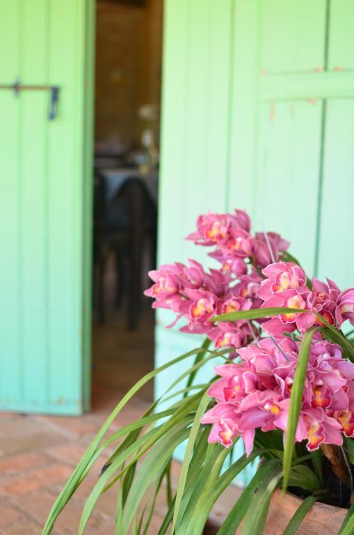 Cafezal Em Flor Turismo E Cafes Especiais Ξενοδοχείο Monte Alegre do Sul Εξωτερικό φωτογραφία