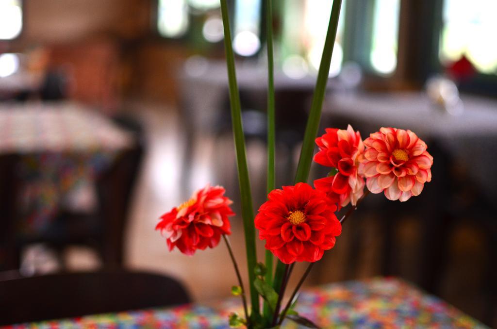 Cafezal Em Flor Turismo E Cafes Especiais Ξενοδοχείο Monte Alegre do Sul Εξωτερικό φωτογραφία